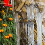 Kad zakukate sljedeći put da je hladno, sjetite se ovog! 2 zaledjena fontana led fontaba 020115 1