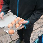 Tombula za Festu 2015 11