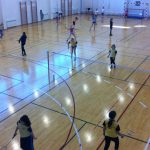 badminton aedium
