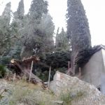 bura borovi jakov