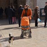 djir stradun 210215 7