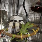 marihuana trava laboratorij1