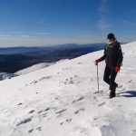 planinari volujak 26