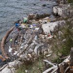 akcija ciscenja mljet14