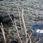 akcija ciscenja mljet8