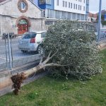 bura nevrijeme vjetar 060315 1