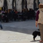 cvjetnica djir stradun 9