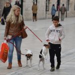 djir stradun28032015 18