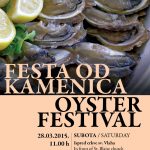 festa kamenice plakat