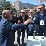 Festa malostonskih kamenica