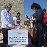 Festa malostonskih kamenica