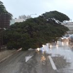 Poplava u Dubrovniku ožujak 2015.