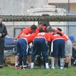 sharks 13