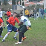 sharks 14