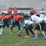 sharks 151