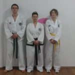 taekwondo shark11