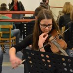 usls orkestar begic 2