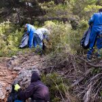 Mljet volonteri smece 01