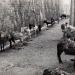 Ulicama Kad su tovari revali 02