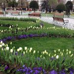 istanbul 6