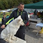izlozba pasa cacib013