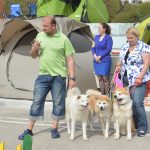 izlozba pasa cacib052