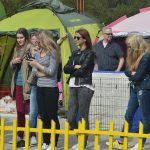 izlozba pasa cacib075