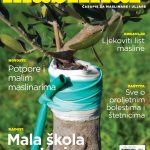 maslinar naslovnica 01