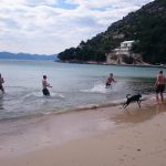 picigin prapratno travanj 2 090415