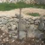 psi uginuli metkovic 13