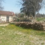 psi uginuli metkovic 6