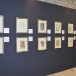 salvador dali izlozba 080415 13