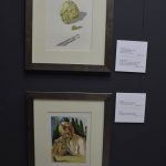 salvador dali izlozba 080415 15