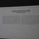 salvador dali izlozba 080415 36