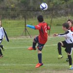 talent kup022