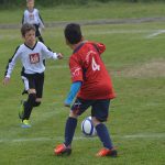 talent kup029