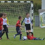 talent kup0371