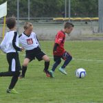 talent kup043