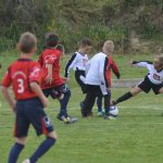 talent kup044