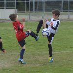 talent kup049
