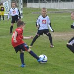 talent kup068