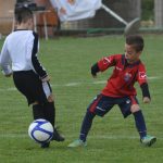 talent kup072