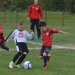 talent kup074