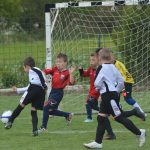 talent kup083
