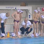 udovicicjuk 13