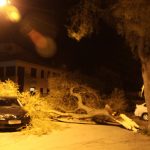 vatrogasci dalmatinska borovi 1