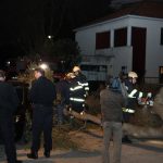 vatrogasci dalmatinska borovi 10