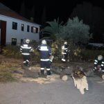 vatrogasci dalmatinska borovi 11