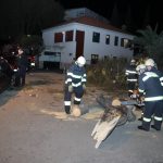 vatrogasci dalmatinska borovi 12