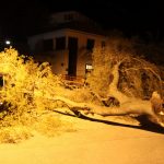 vatrogasci dalmatinska borovi 2